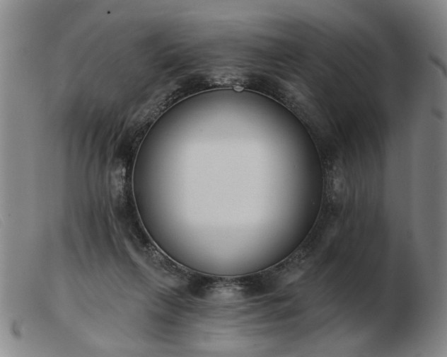 X0000103420263200809191644