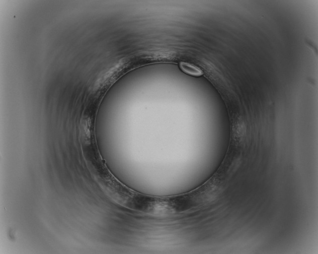 X0000103420264200809191644