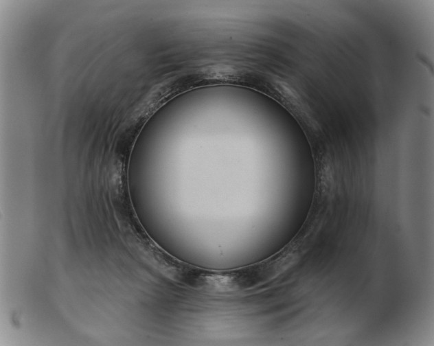 X0000103420265200809191644