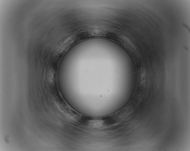 X0000103420266200809191644
