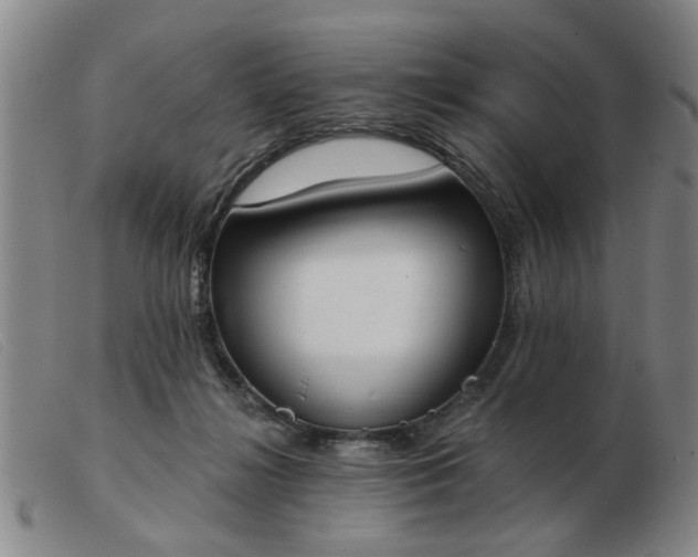 X0000103420268200809191644