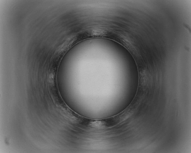 X0000103420269200809191644