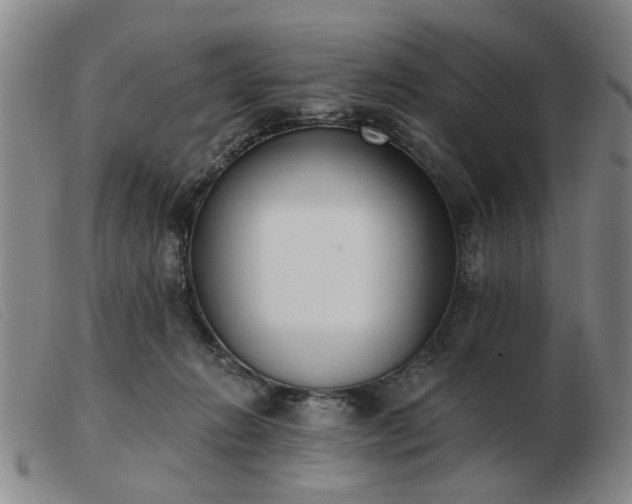 X0000103420270200809191644