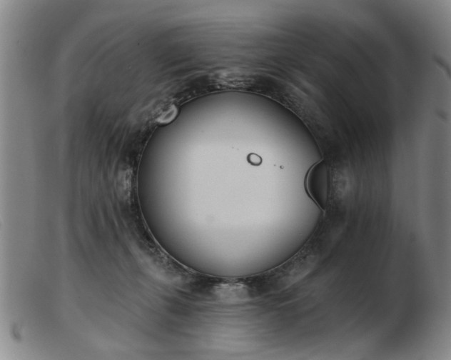 X0000103420271200809191644