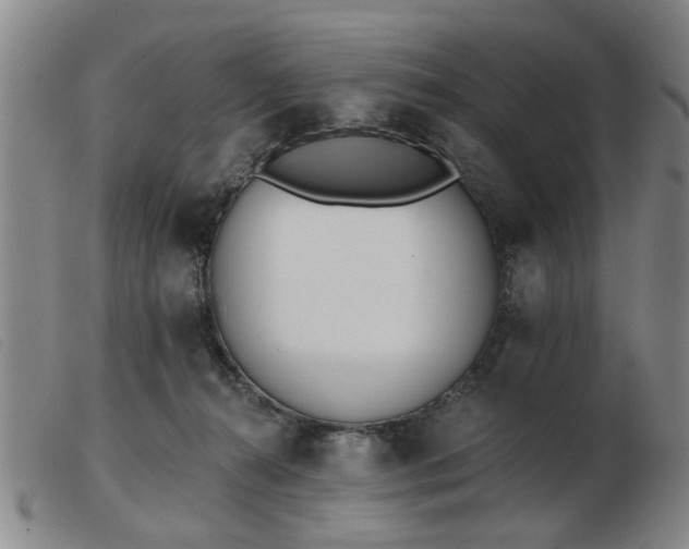 X0000103420272200809191644