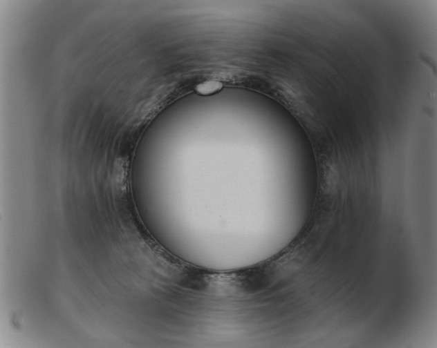 X0000103420273200809191644