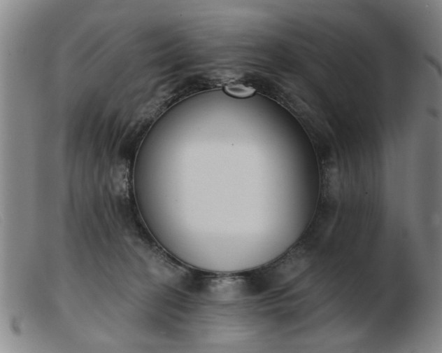 X0000103420274200809191644