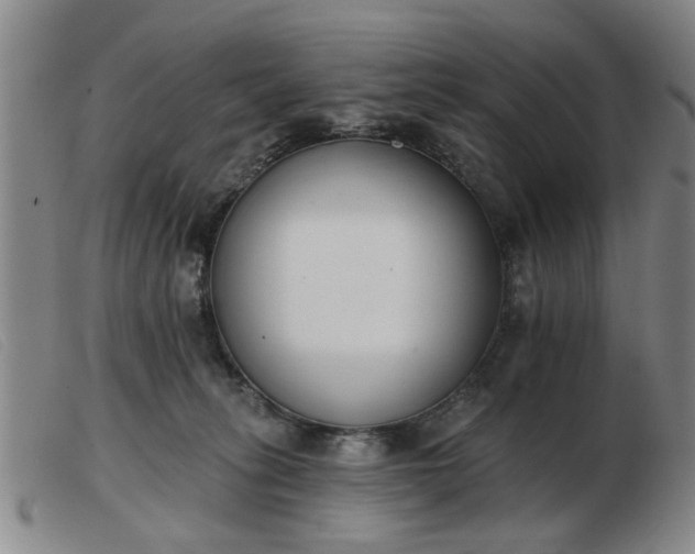 X0000103420275200809191644