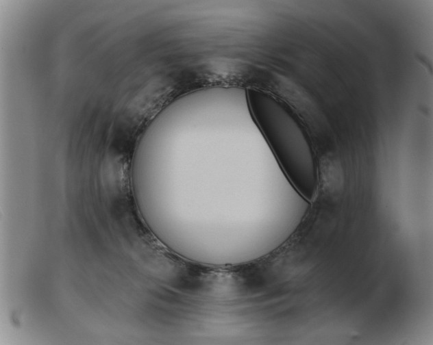 X0000103420276200809191644