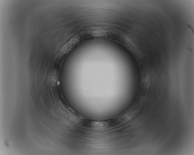 X0000103420277200809191644