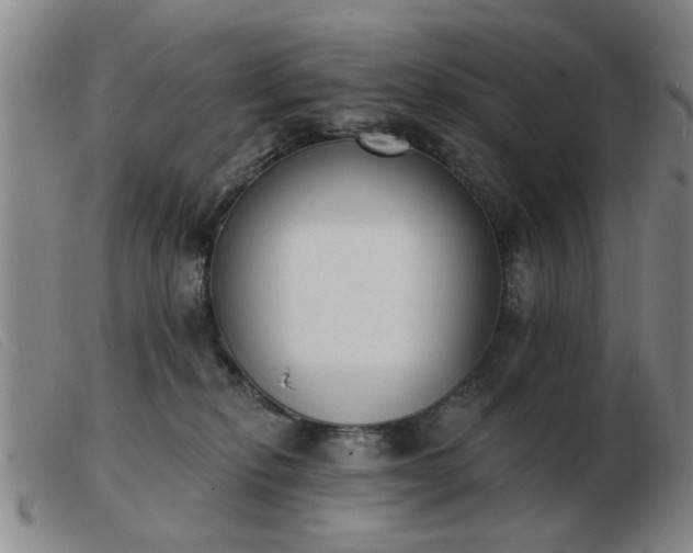 X0000103420278200809191644