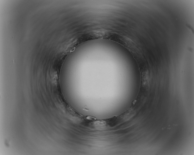 X0000103420279200809191644