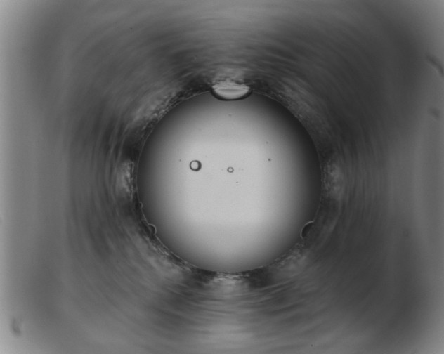 X0000103420280200809191644