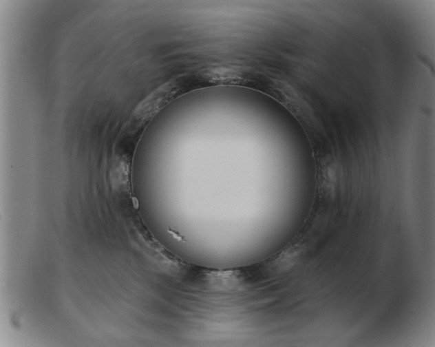 X0000103420281200809191644