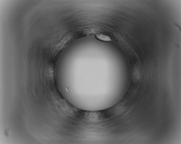 X0000103420282200809191644