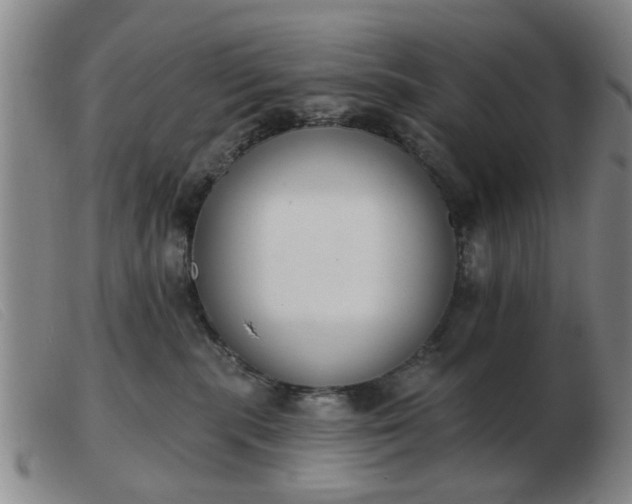 X0000103420283200809191644
