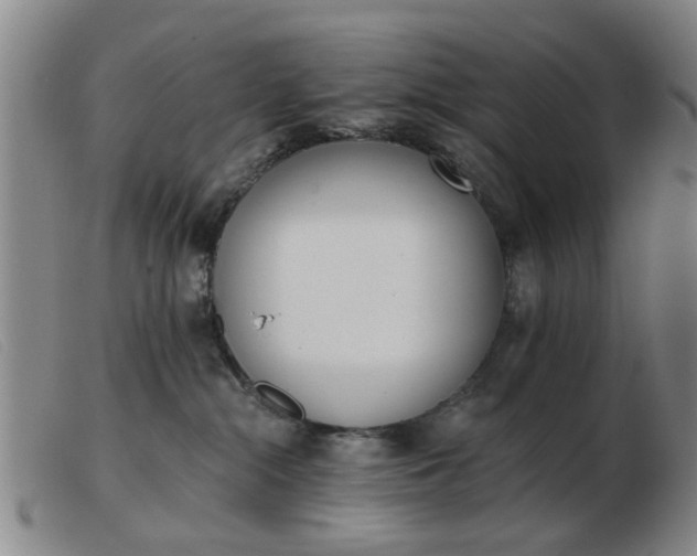 X0000103420284200809191644