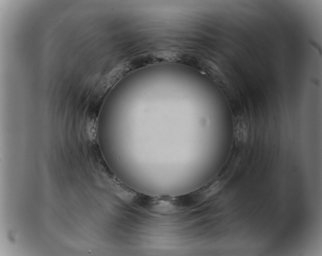 X0000103420285200809191644