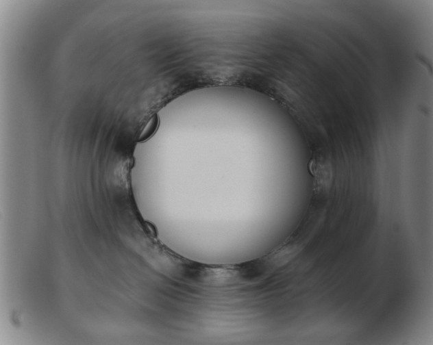 X0000103420286200809191644
