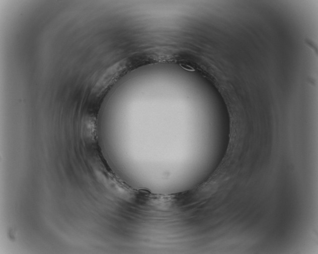 X0000103420288200809191644