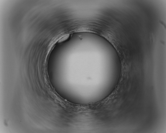 X0000103420289200809191644
