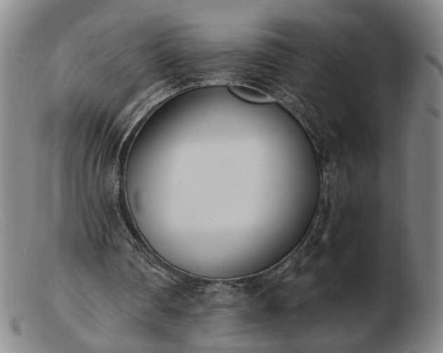 X0000103420290200809191644