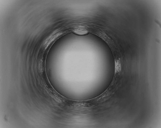 X0000103420291200809191644