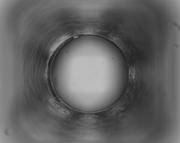 X0000103420292200809191643