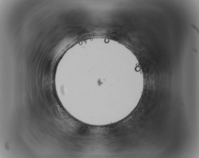 X0000103420293200809191643