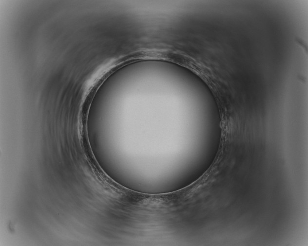 X0000103420294200809191643