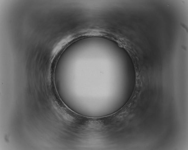 X0000103420296200809191643