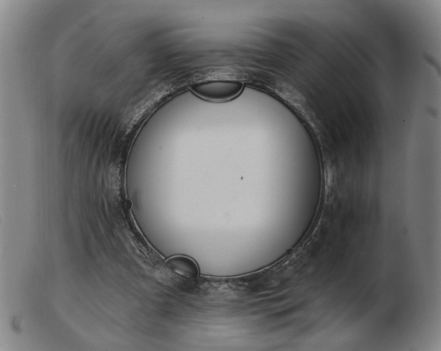 X0000103420297200809191643