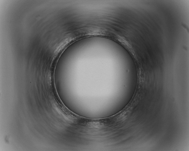 X0000103420298200809191643