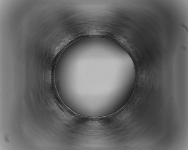 X0000103420299200809191643