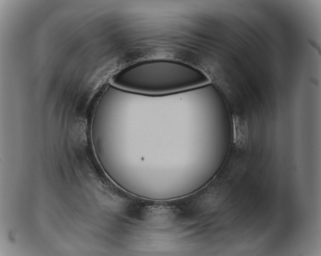 X0000103420300200809191643