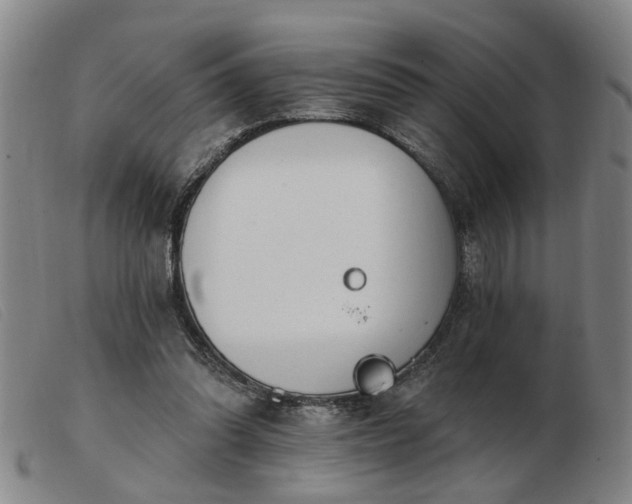 X0000103420302200809191643