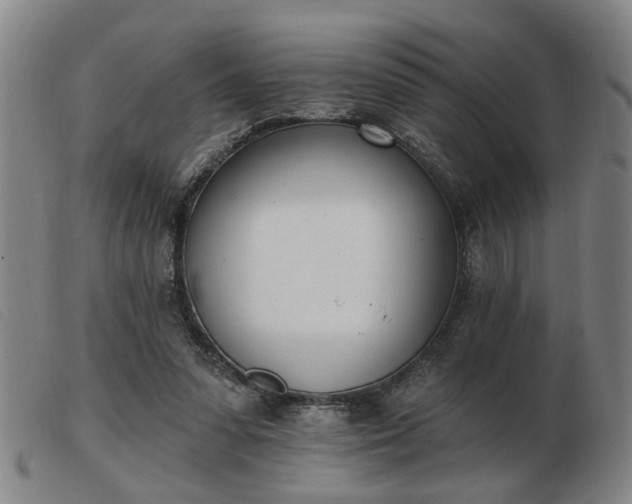 X0000103420303200809191643