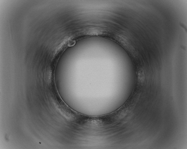 X0000103420304200809191643