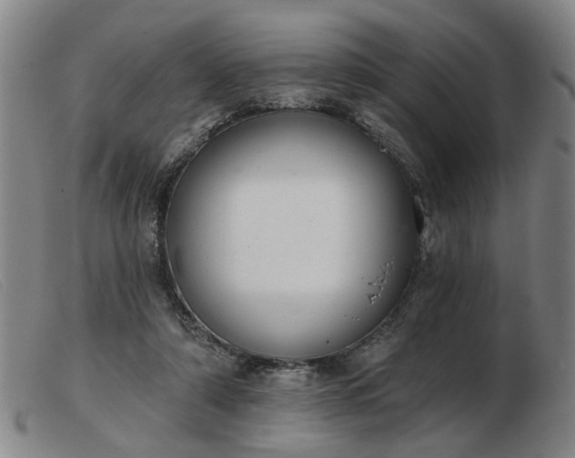 X0000103420306200809191643