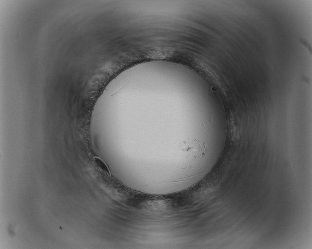 X0000103420307200809191643