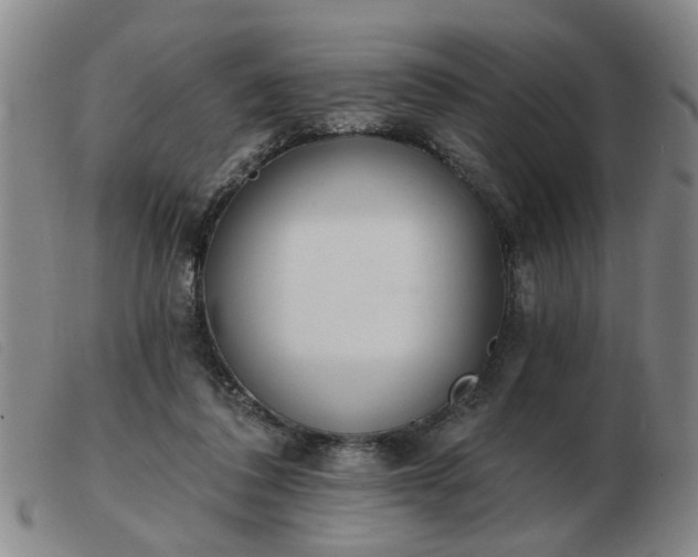 X0000103420308200809191643