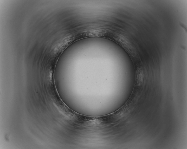 X0000103420310200809191643