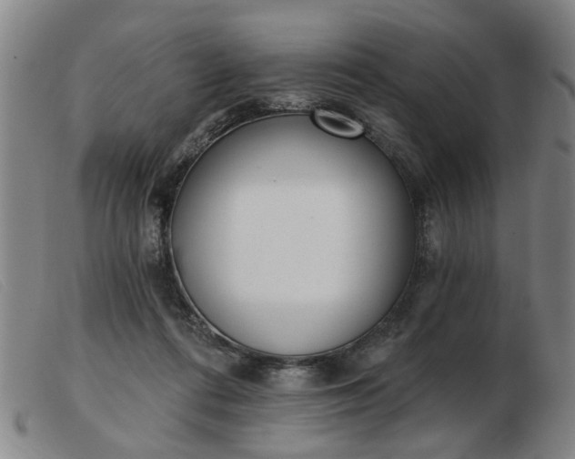 X0000103420312200809191643