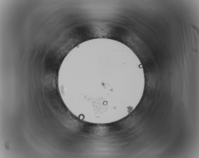 X0000103420313200809191643
