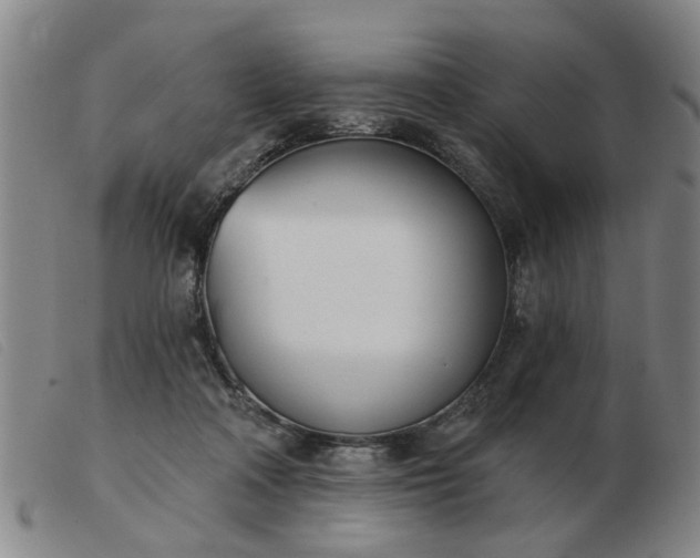 X0000103420314200809191643