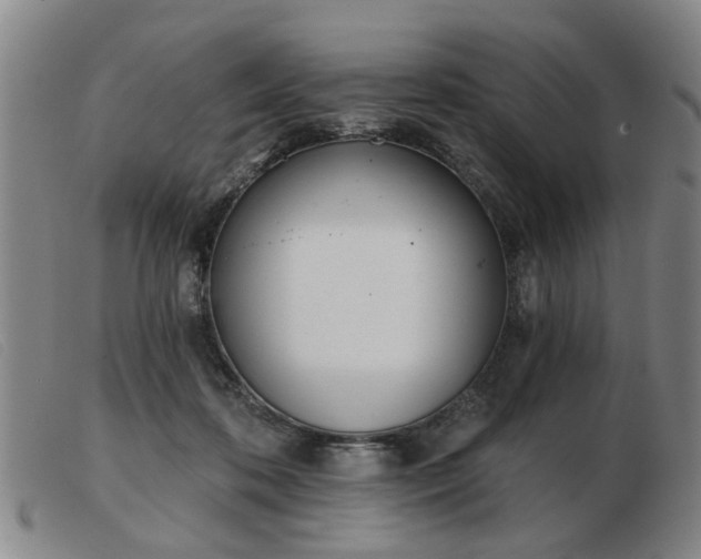 X0000103420316200809191643