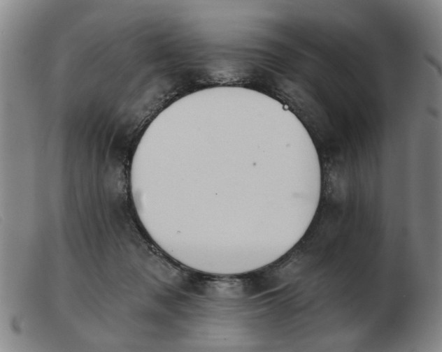 X0000103420317200809191643