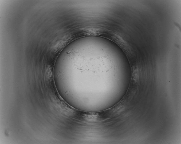 X0000103420318200809191643