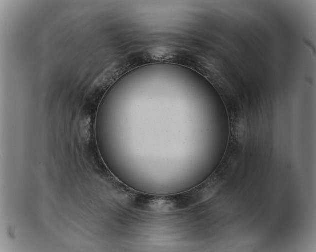 X0000103420319200809191643