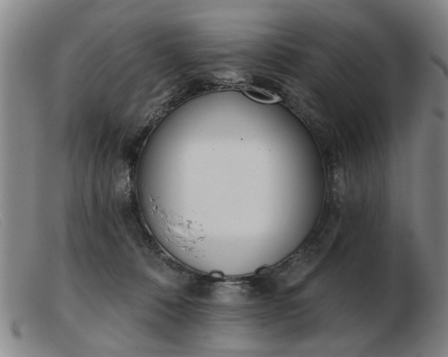 X0000103420320200809191643